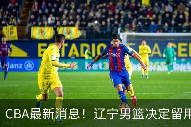 CBA最新消息！辽宁男篮决定留用莱迪，杜锋或将离开广东宏远