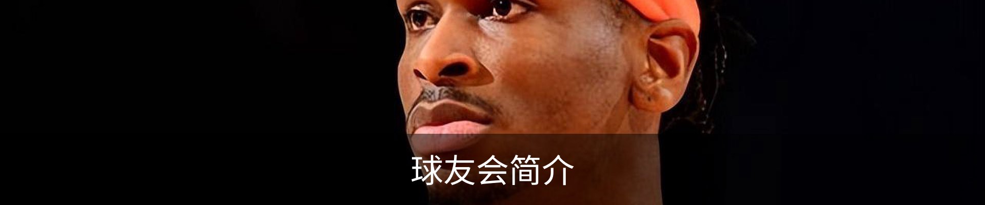 球友会简介